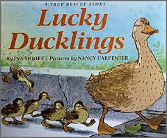 A book cover Illustration of Lucky Ducklings